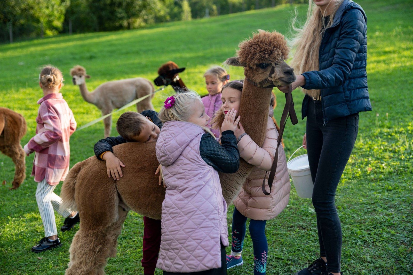 Let's discover the capital of Paradise Road – Jurbarkas