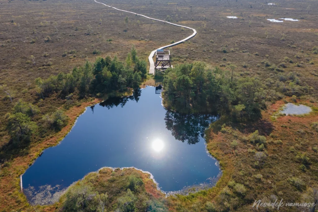 Hiking in Lithuania with kids. Aukštumala Nature Trail (photo from the “Nesėdėk namuose” website)