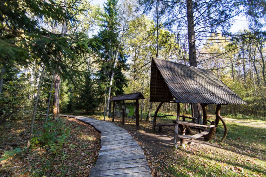 Hiking in Lithuania with kids. Dūkštos Nature Trail. Dūkštos pažintinis takas (photo by Vilnius District Tourism Information Centre)