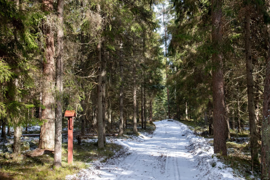 Hiking in Lithuania with kids. Plokštinė Nature Trail (photo from the “Nesėdėk namuose” website)