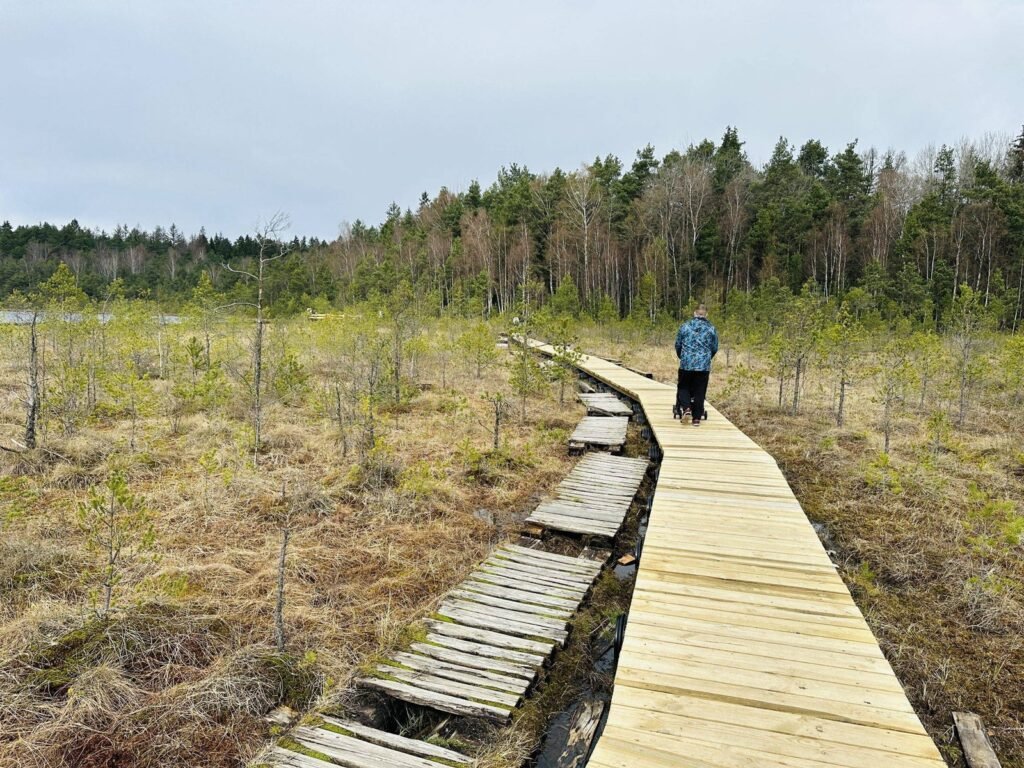 Hiking in Lithuania with kids. Varnikai Nature Trail