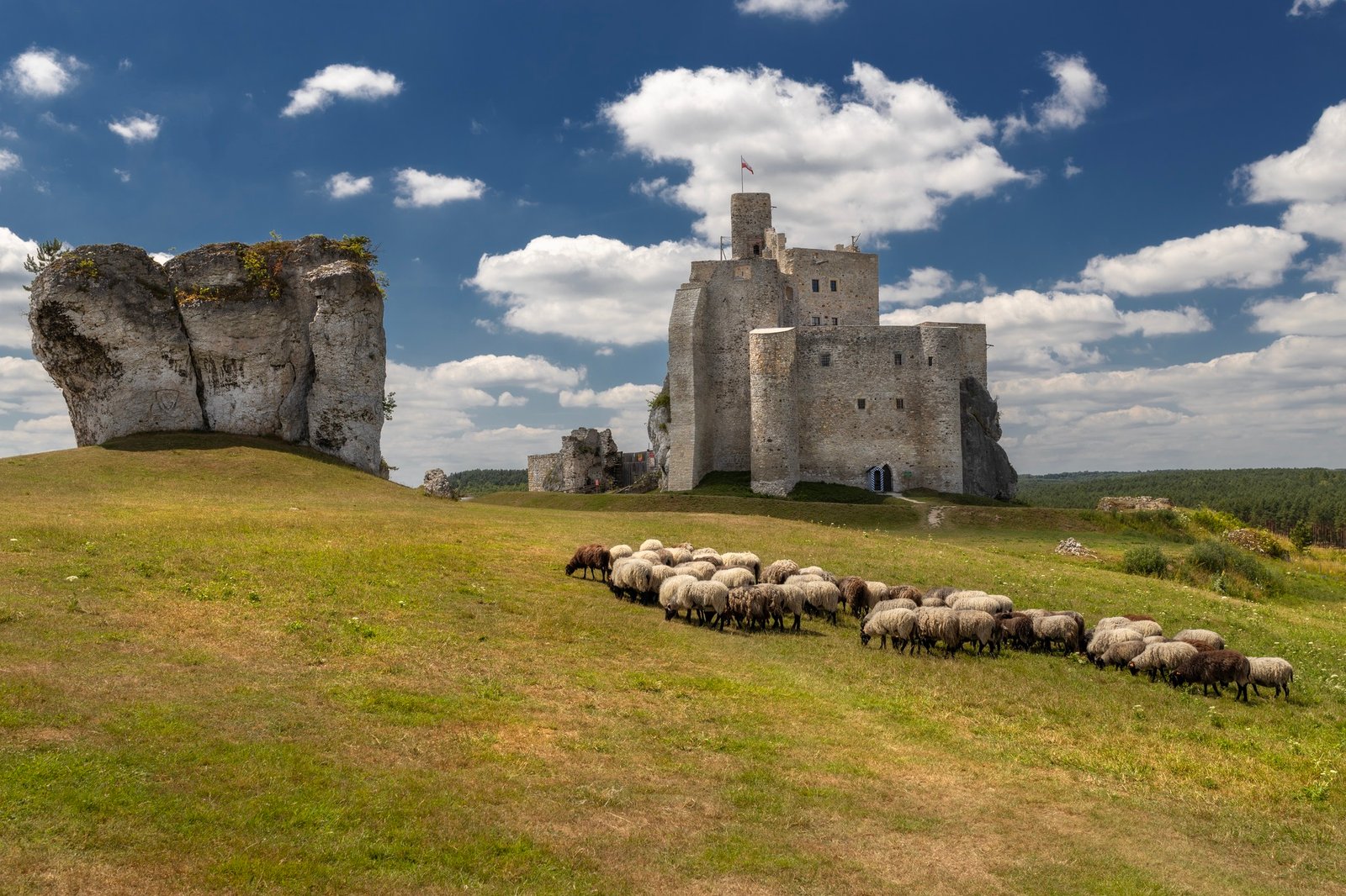 An impressive and unique route in Poland: the Eagle’s Nests castles