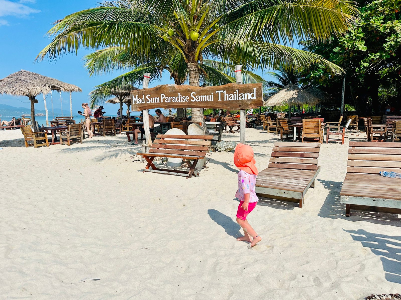 Koh Mad Sum pig island in Thailand
