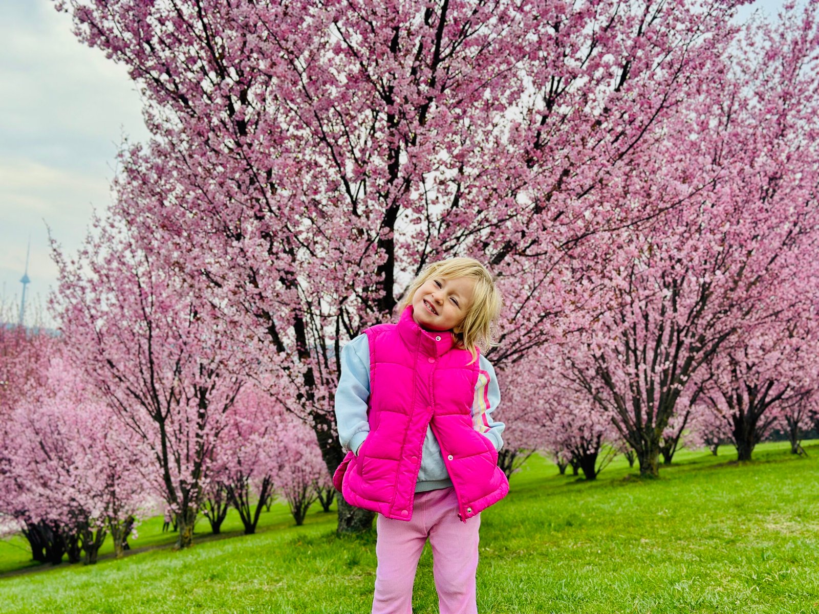 Chiune Sugihara Sakura ParkChiune Sugihara Sakura Park