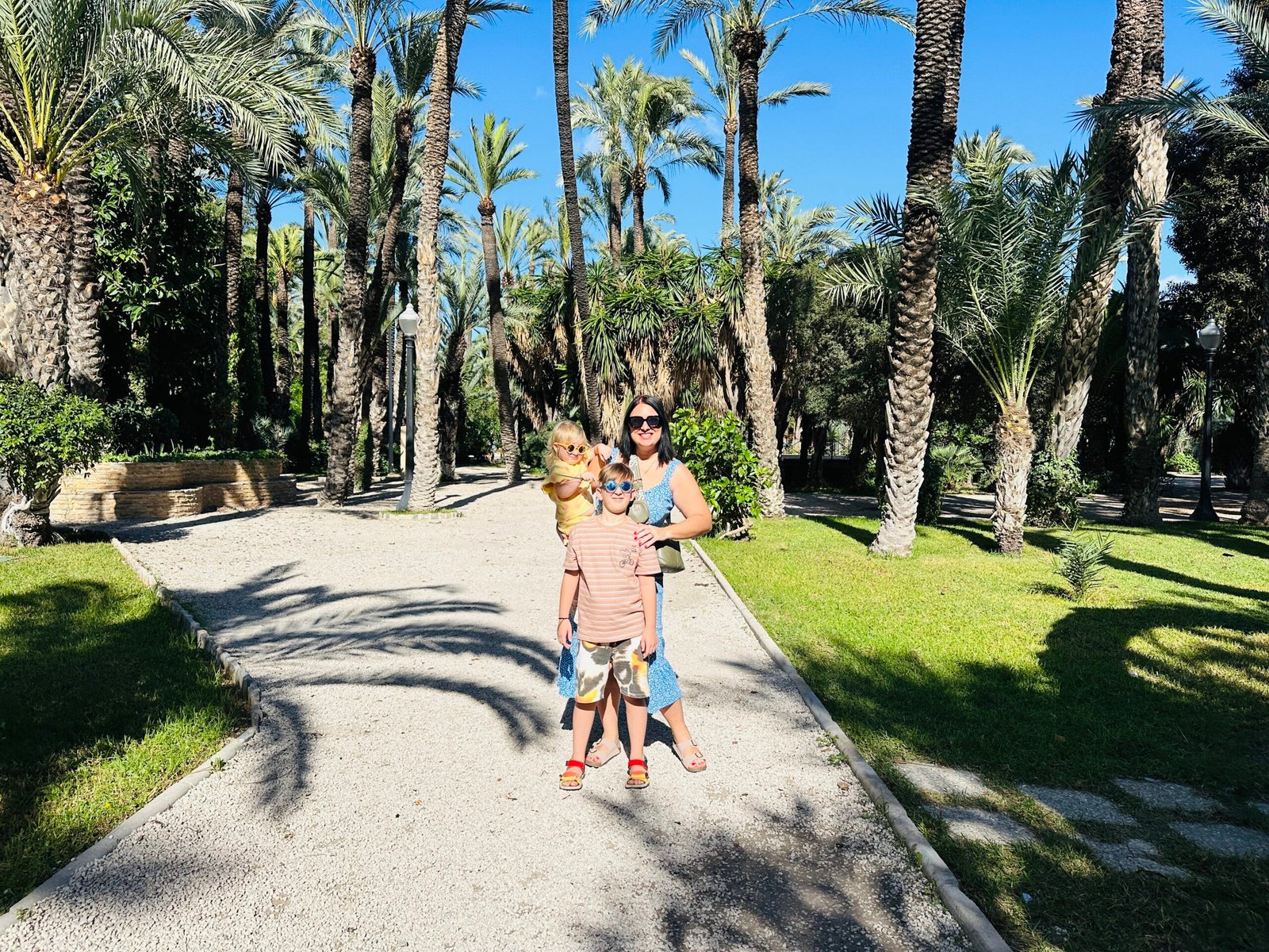 The largest palm grove in Europe in Elche