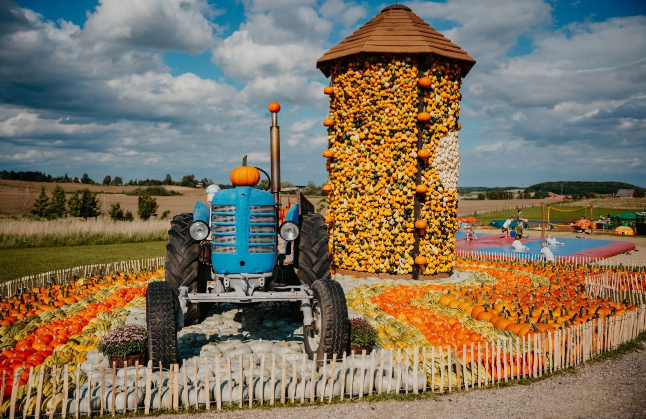 Pumpkin park in Poland near Gdansk