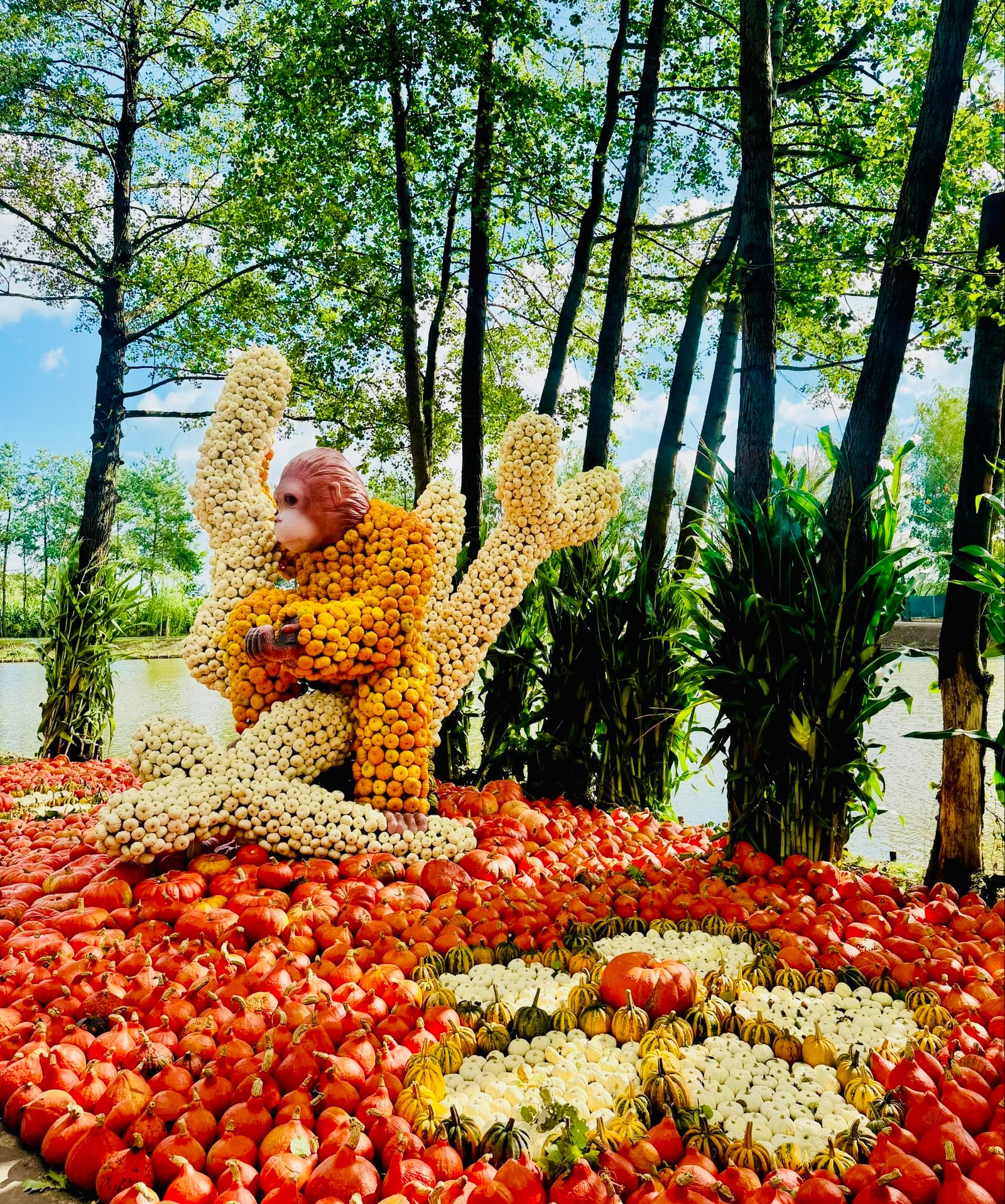 Largest pumpkin park in Poland