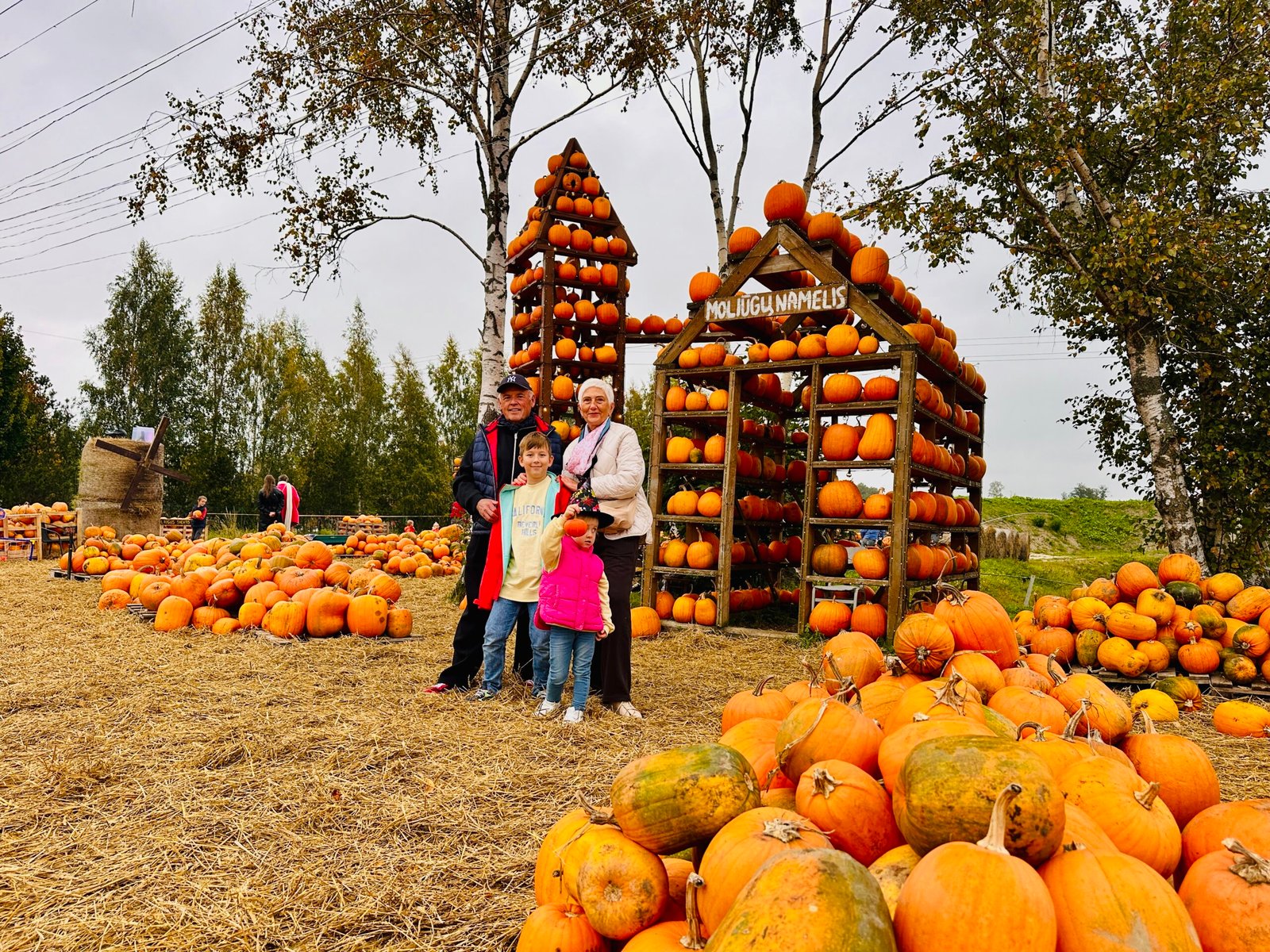 Pumpkin Yard in Klaipėda District