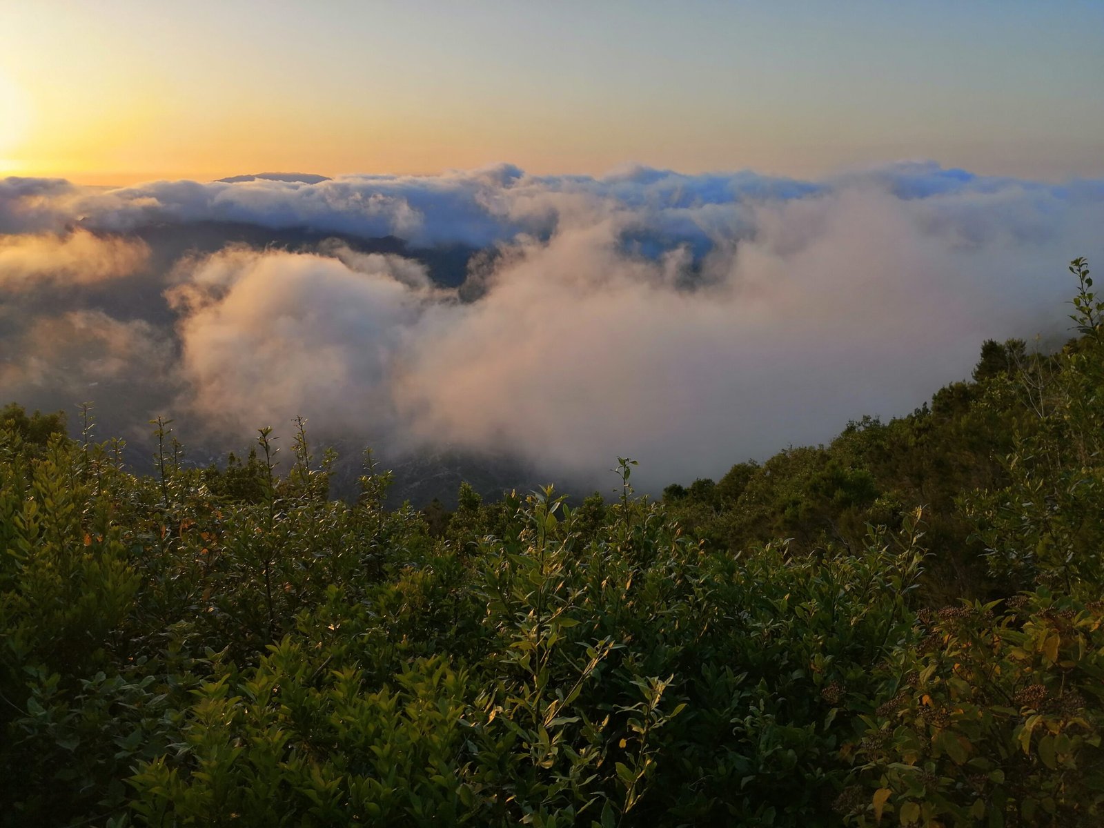 Discover La Gomera in a different way: exclusive small group day tour from Tenerife