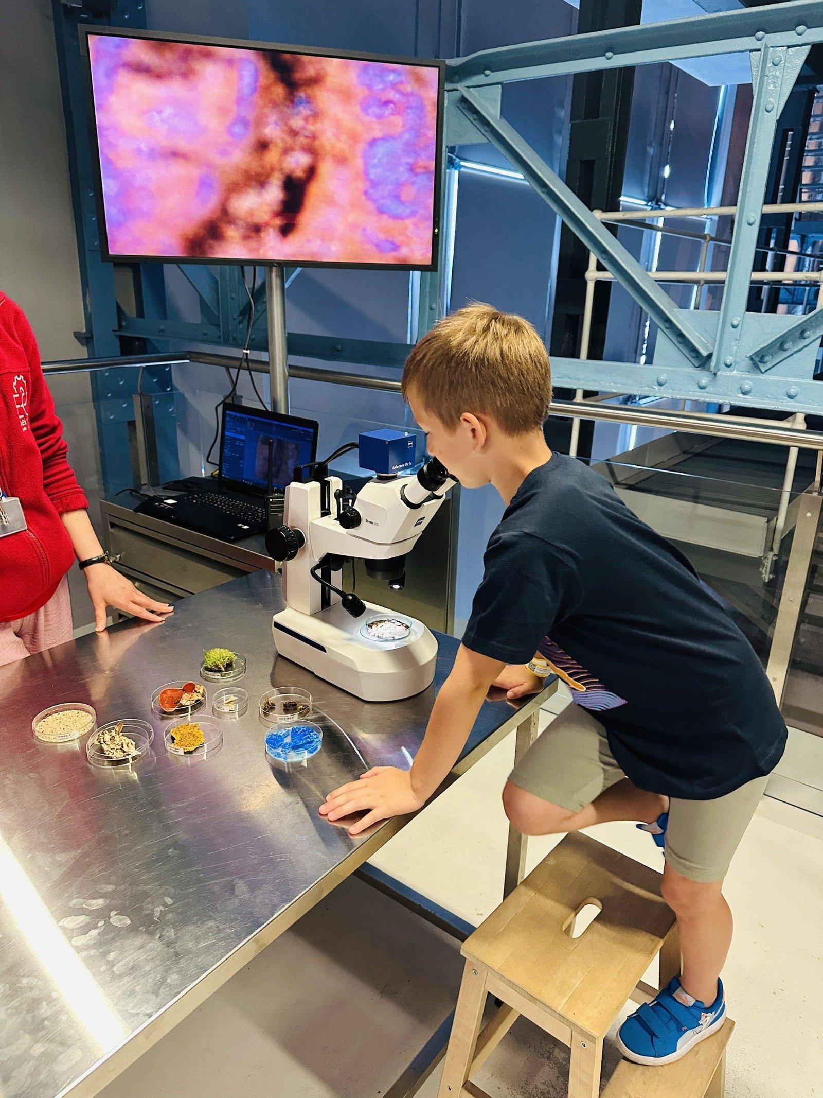 Best museums in Poland