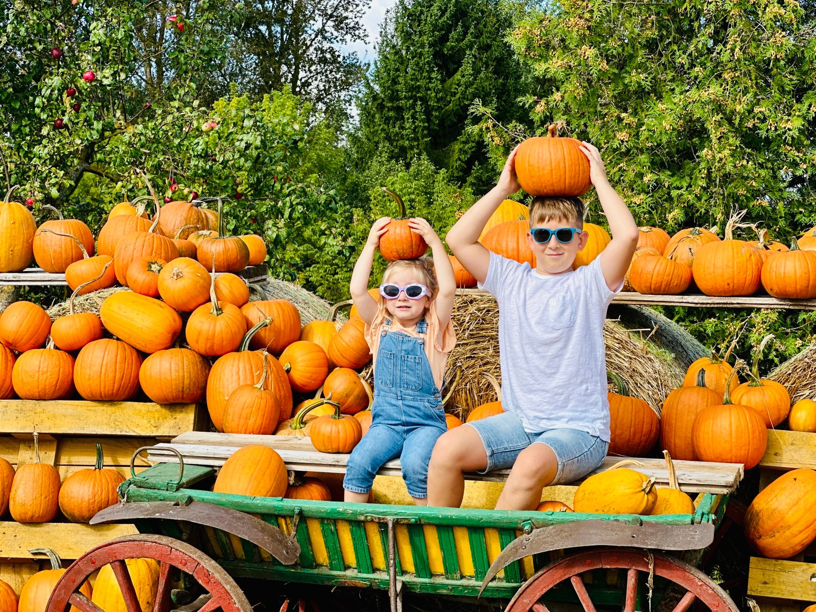 Largest free pumpkin park in Lithuania