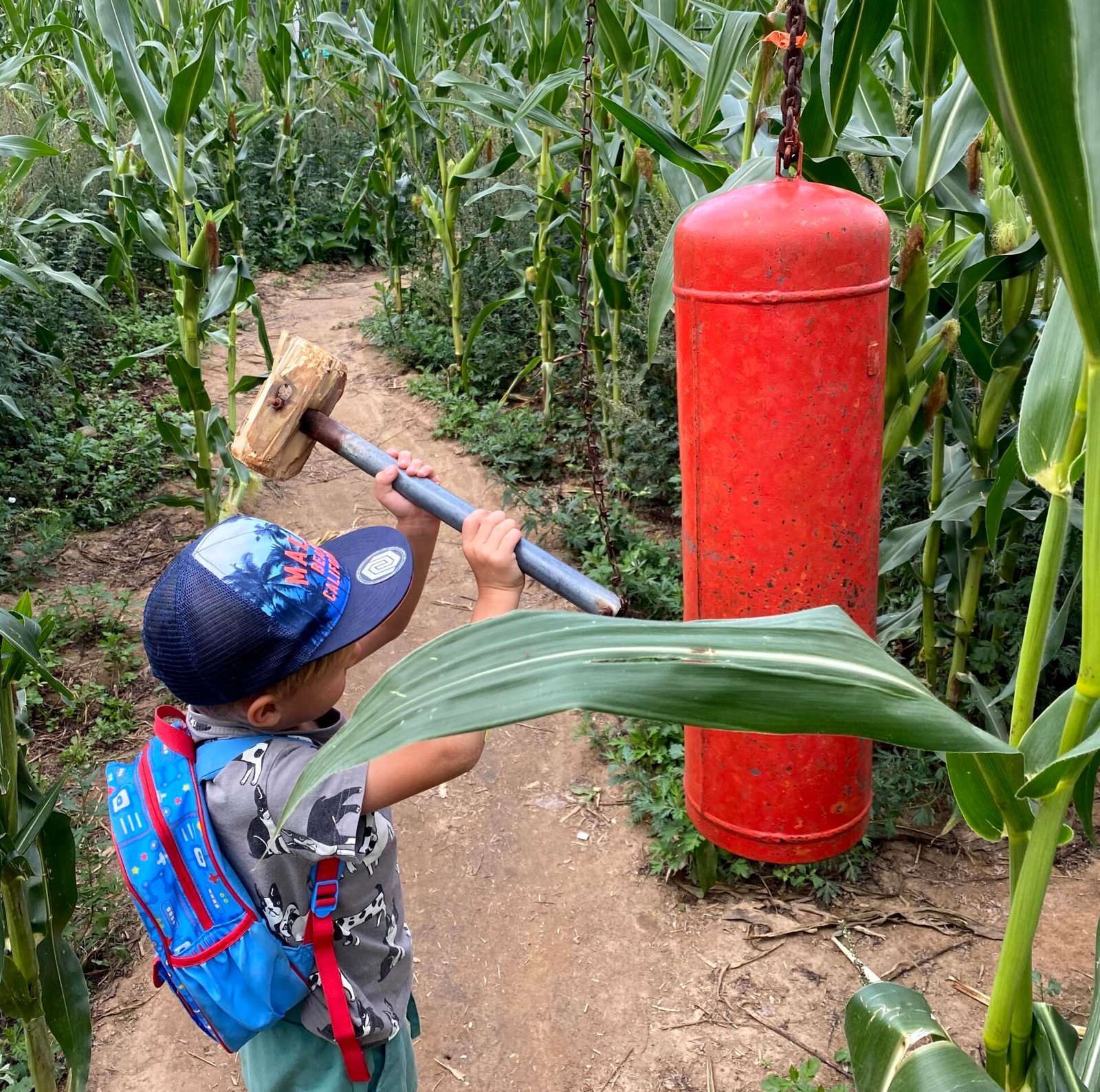 Nature mazes in Lithuania: best places for family adventures