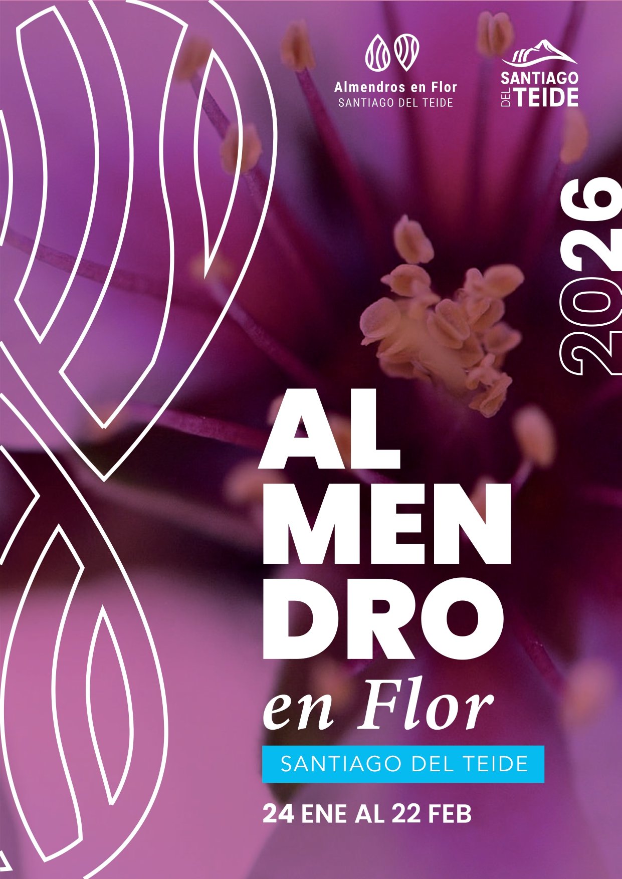 Hikes among blooming almonds Almendros en flor 2026