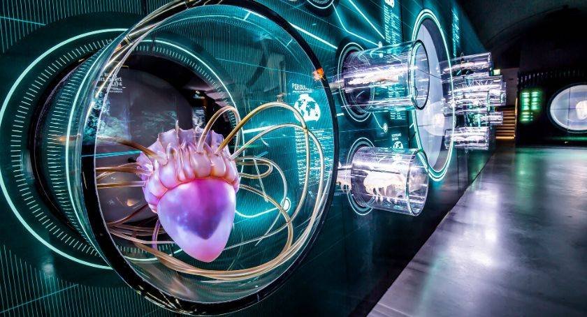 Winter travel ideas in Poland