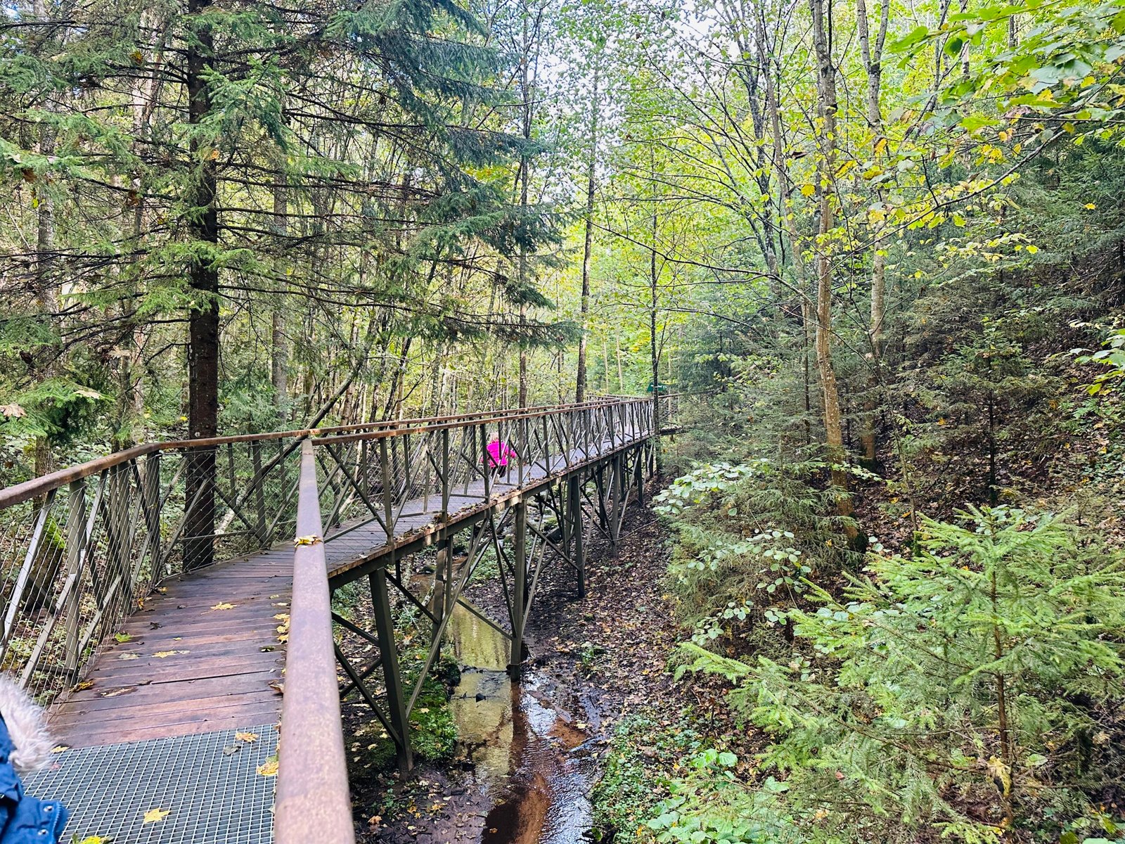 Lopaičiai educational trail