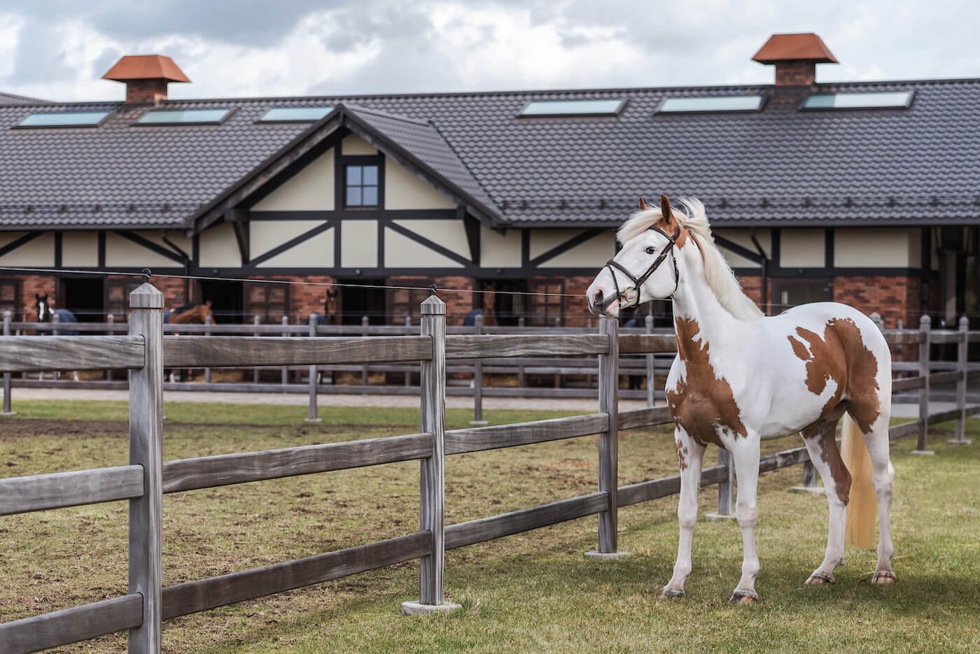 Įspūdingiausias žirgynas Lietuvoje: Royal Horse resort