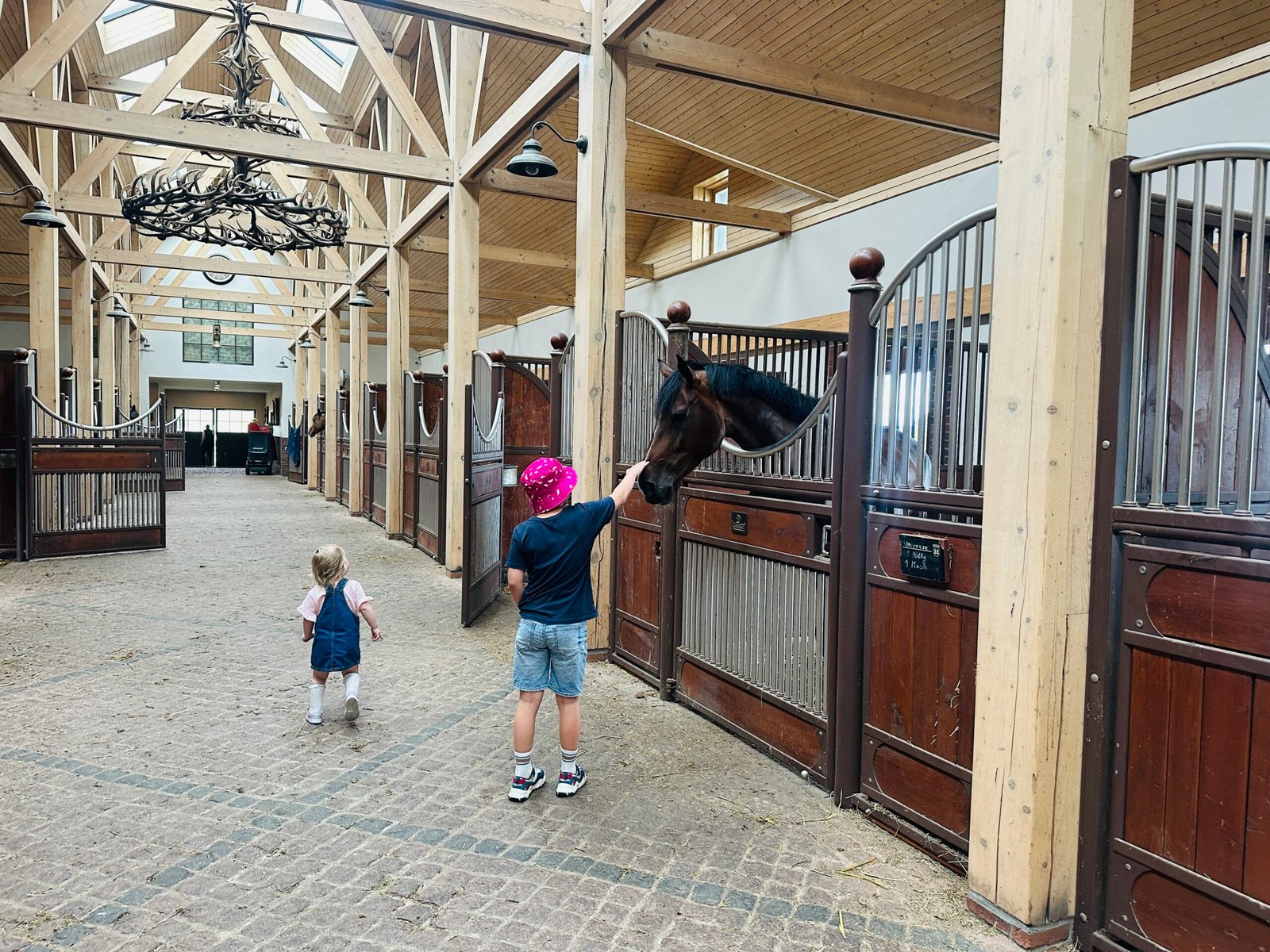 Royal Horse Resort: a unique place for family recreation