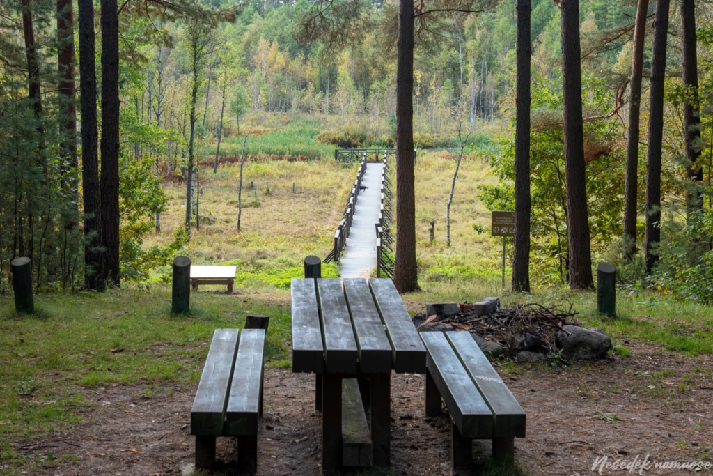 Bijotai–Širvinta Forest Nature Trail (photo from the “Nesėdėk namuose” website)