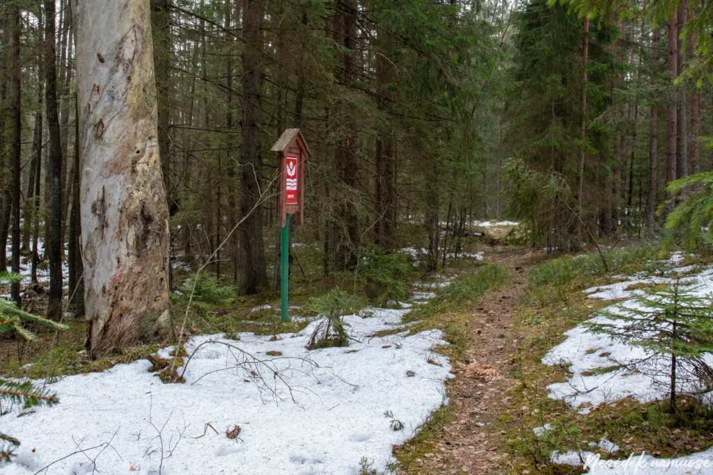Drevinė Beekeeping Nature Trail (photo from the “Nesėdėk namuose” website)