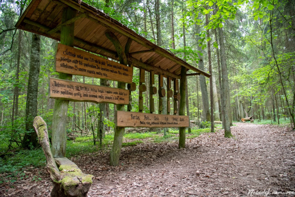 Hiking in Lithuania with kids. Girinio Nature Trail (photo from the “Nesėdėk namuose” website)