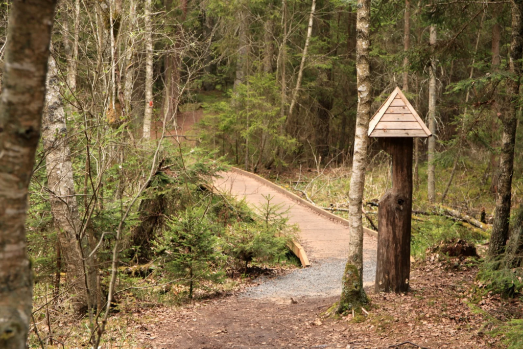 Hiking in Lithuania with kids. Juodlė Nature Trail (photo from the “Nesėdėk namuose” website)