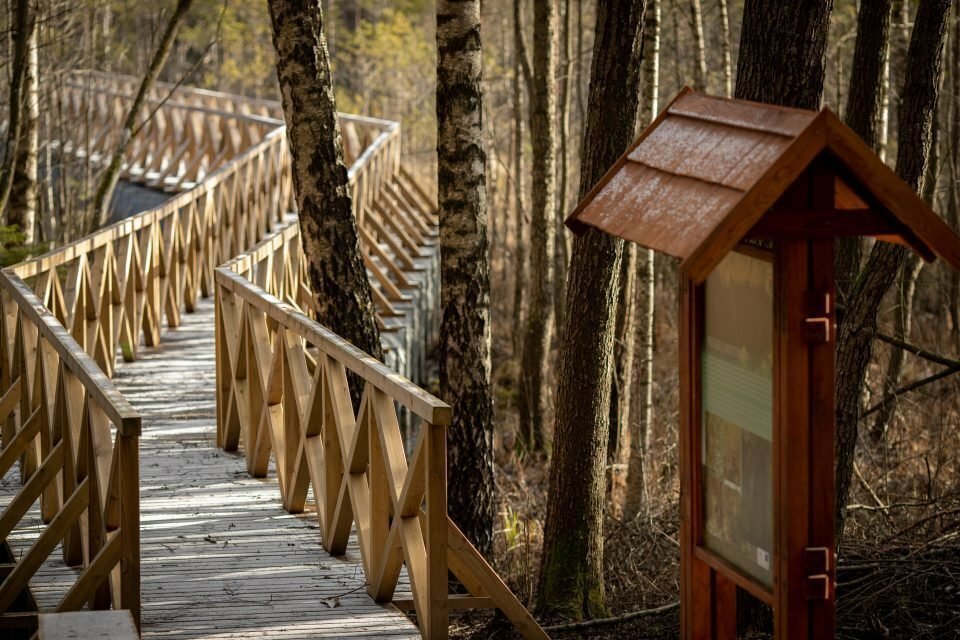 Hiking in Lithuania with kids. Sirvėta Regional Park Nature Trail (photo from the “Nesėdėk namuose” website)