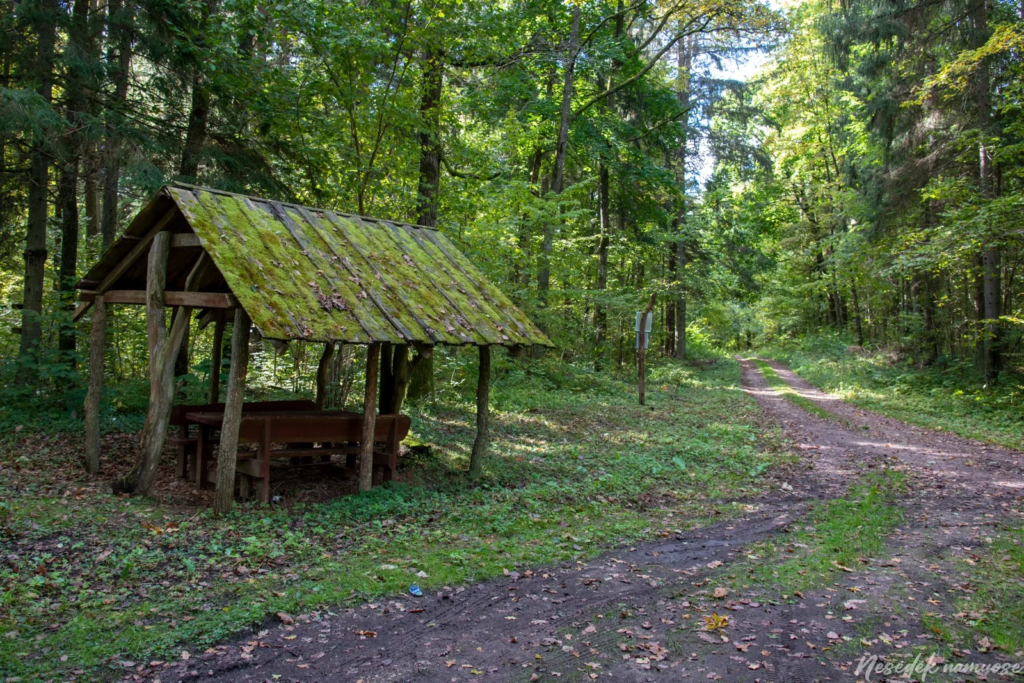 Trako Forest Nature Trail (photo from the “Nesėdėk namuose” website)