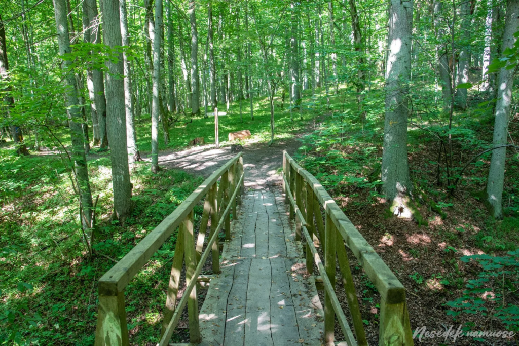 Ecological Nature Trail in the Vidzgiris botanical reserve (photo from the “Nesėdėk namuose” website)