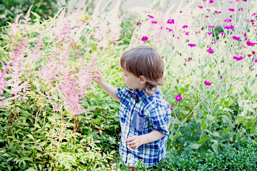 Route through the city's most beautiful flower beds