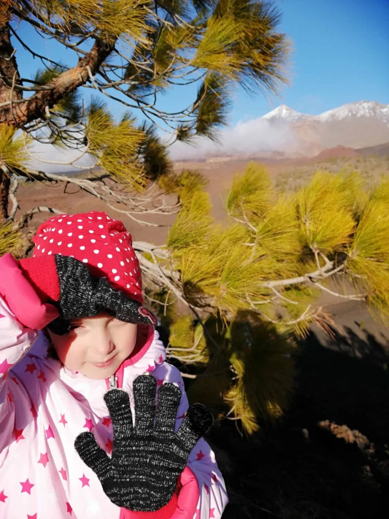 Watching Stars in Teide