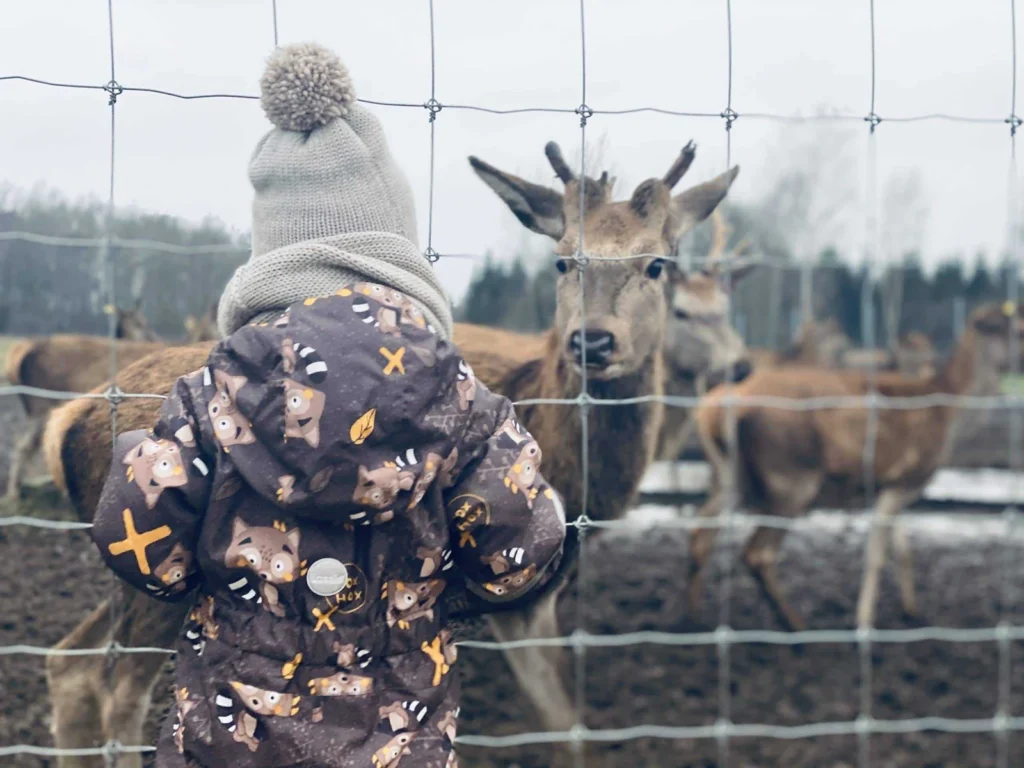Children’s Paradise – Deer SPA
