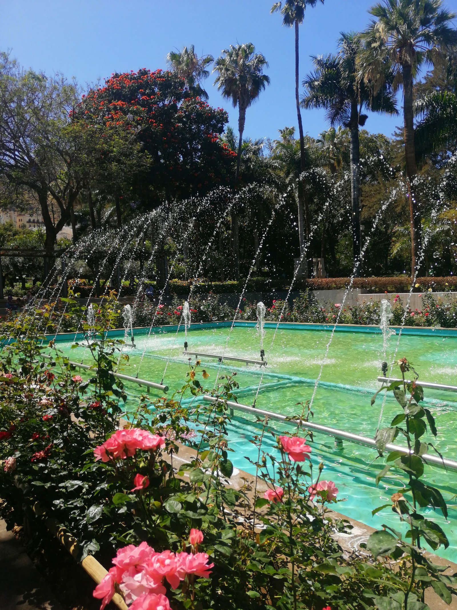 Garcia Sanabria parkas