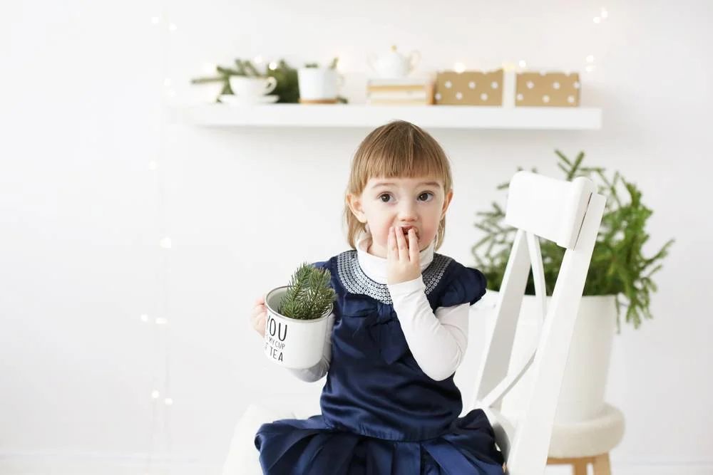 The tastiest edible Christmas gift ideas