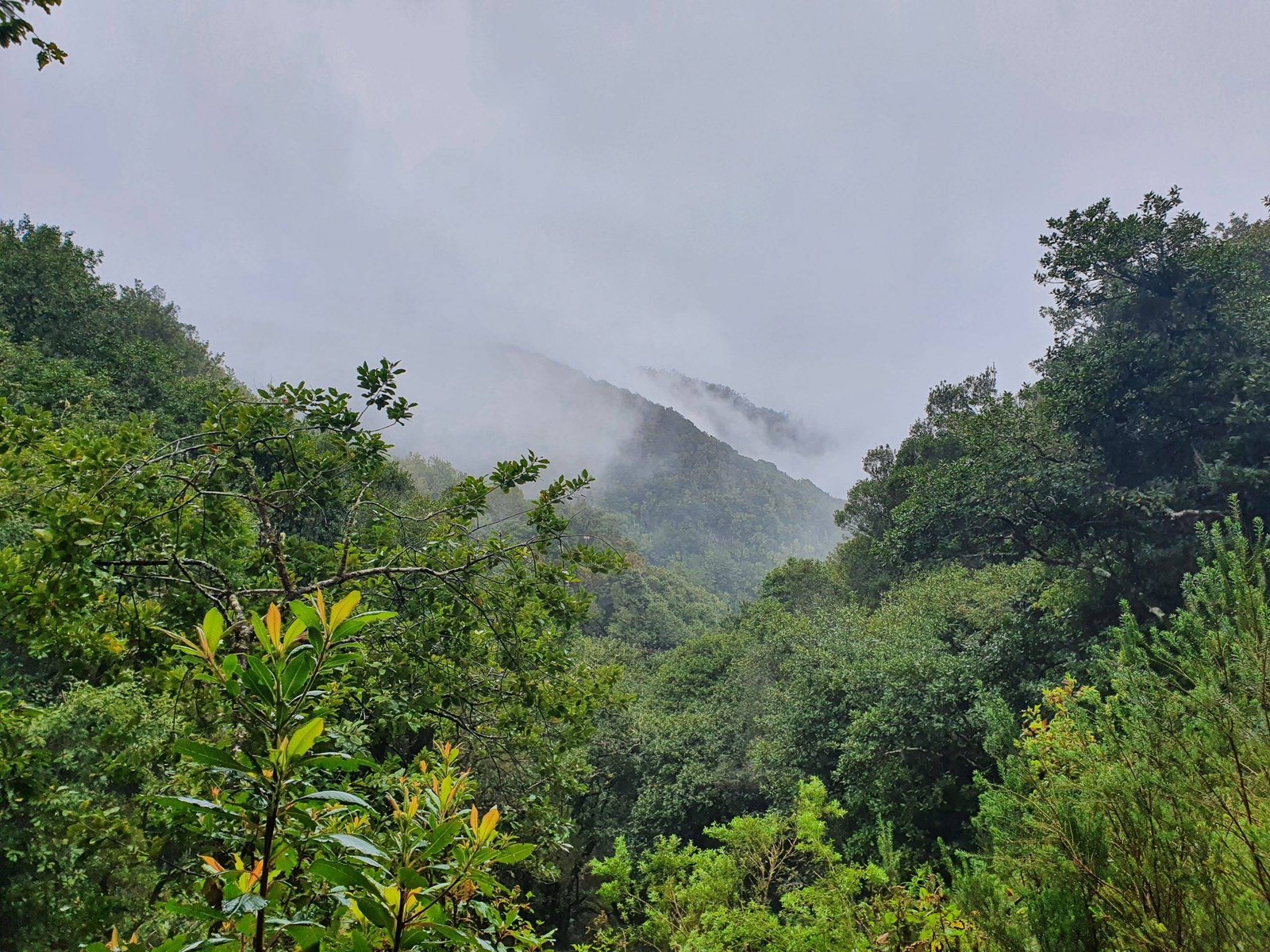 Kelionė su vaikais į Madeirą