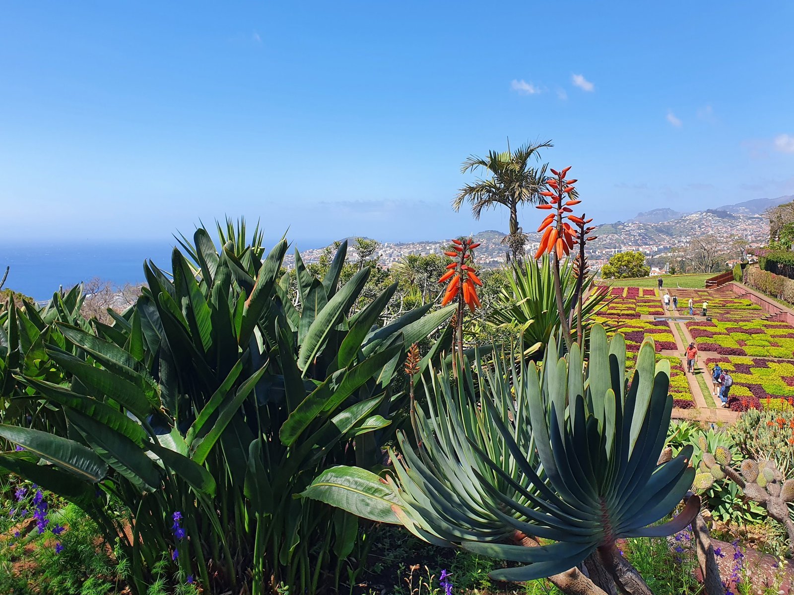 Kelionė su vaikais į Madeirą