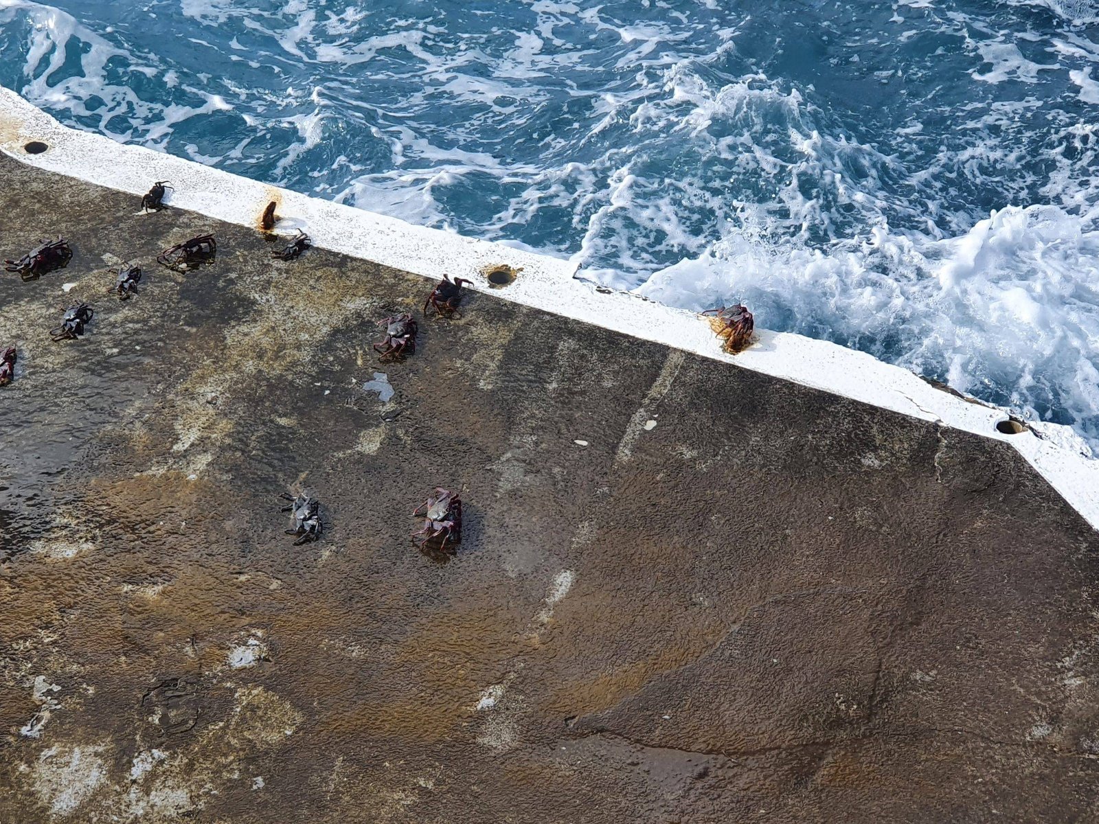 Atostogos su vaikais Madeiroje