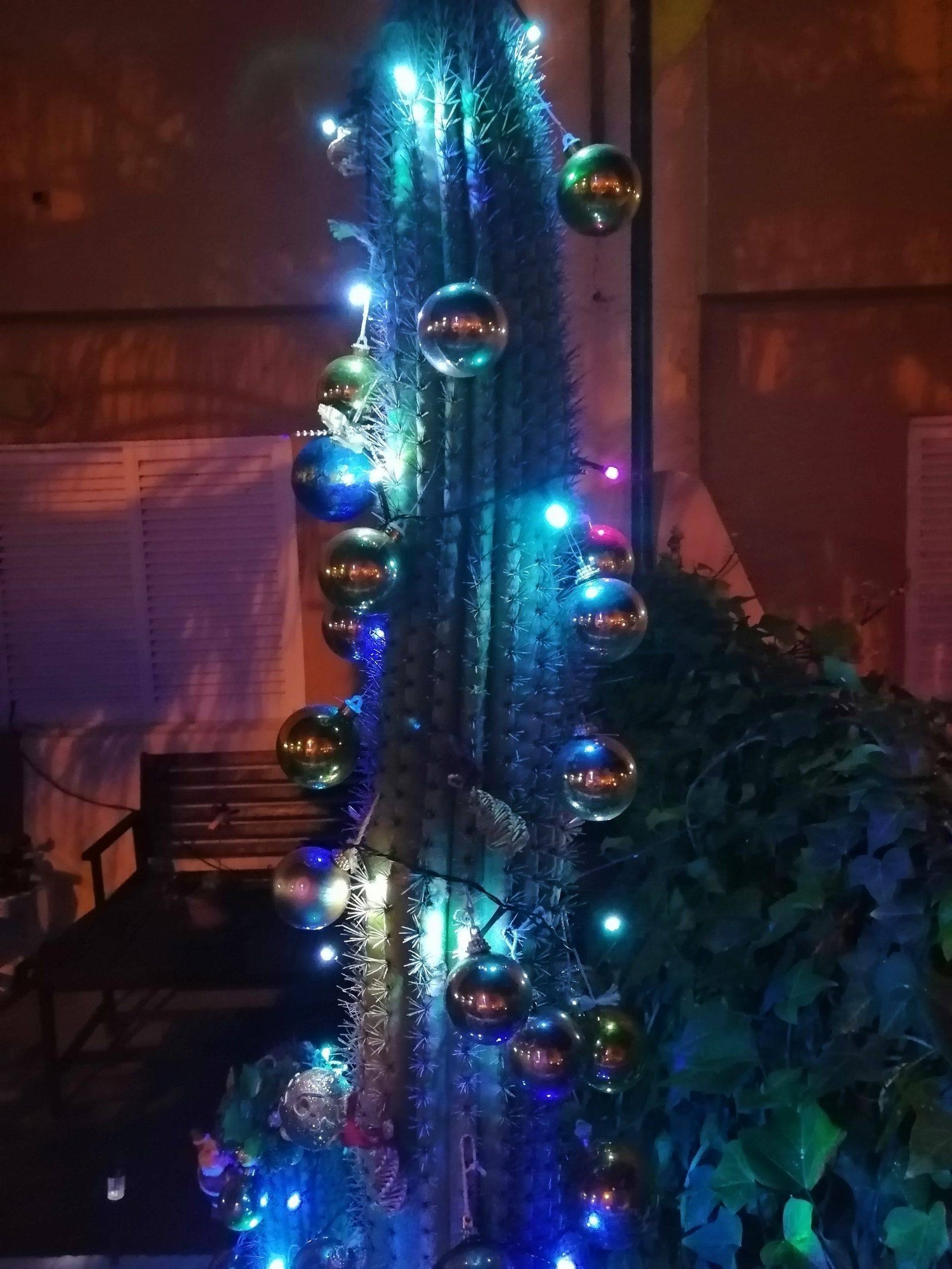 Winter holidays in Tenerife: traditions and customs