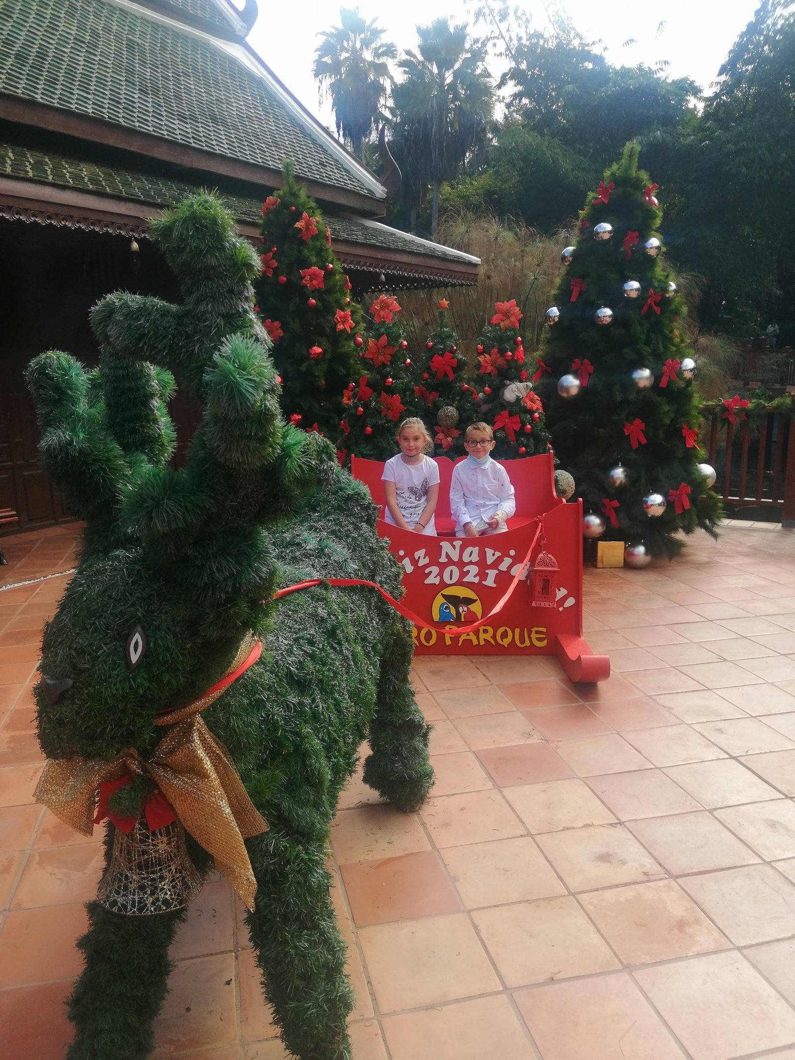 Winter holidays in Tenerife: traditions and customs