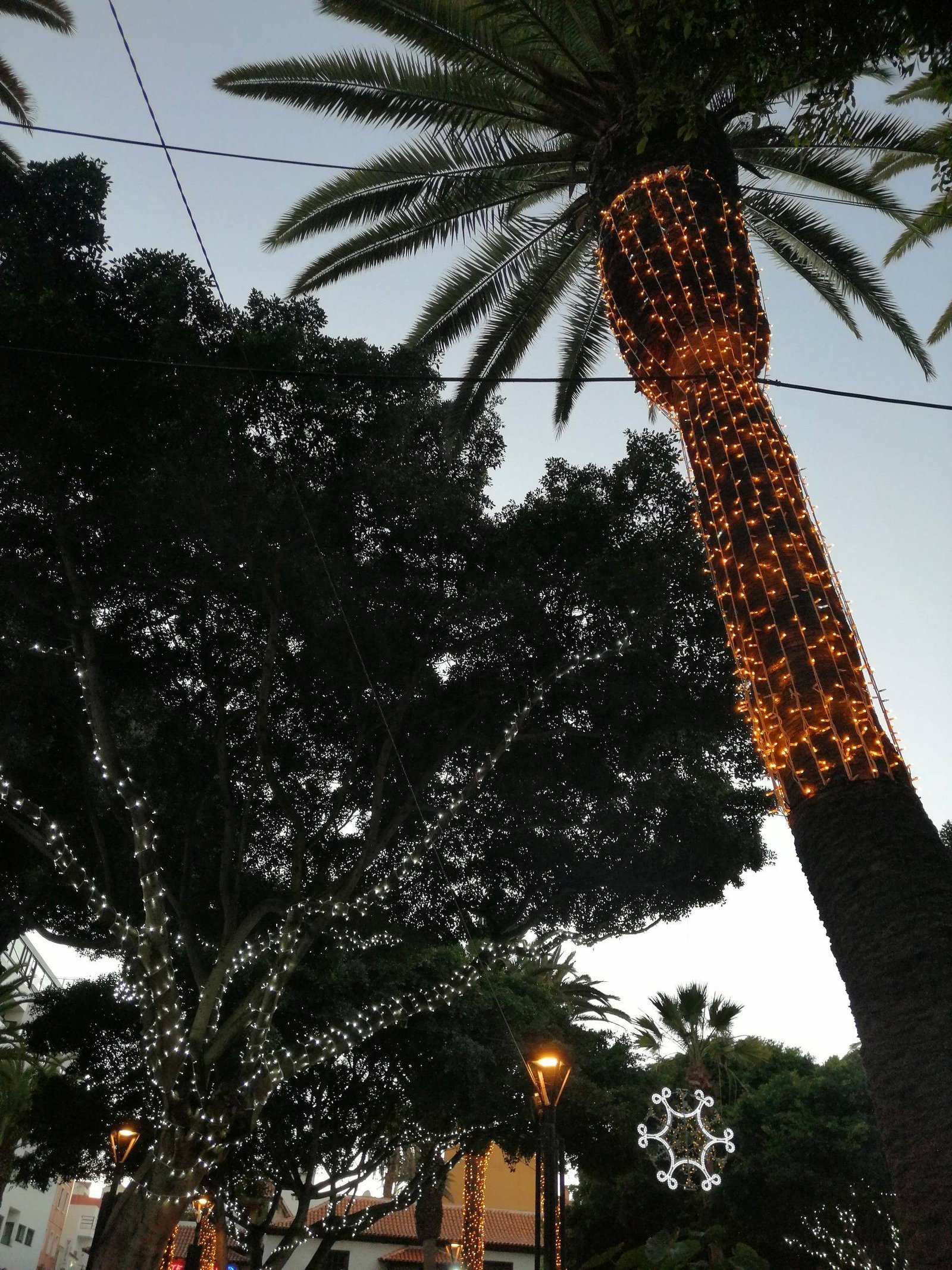 Winter holidays in Tenerife: traditions and customs