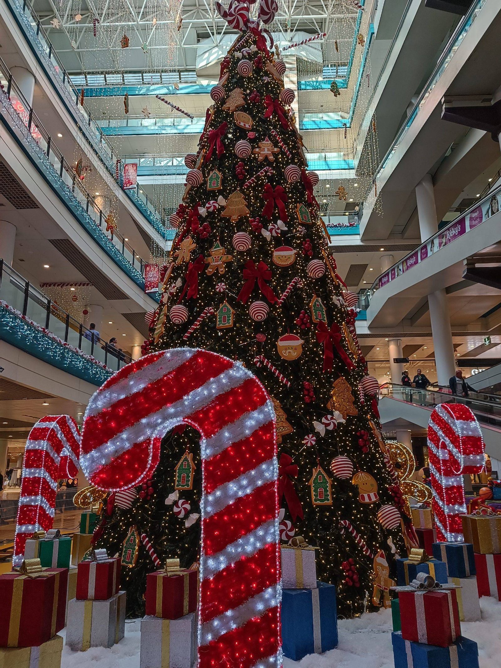 Winter holidays in Tenerife: traditions and customs