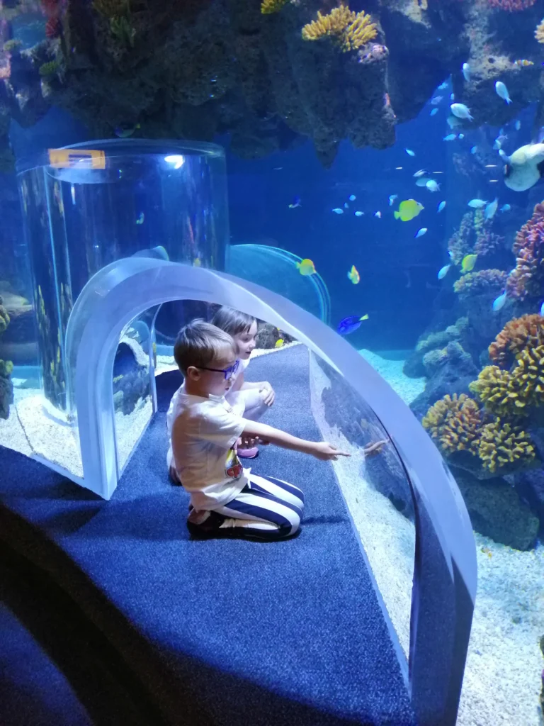Having Fun with Children in Gran Canaria