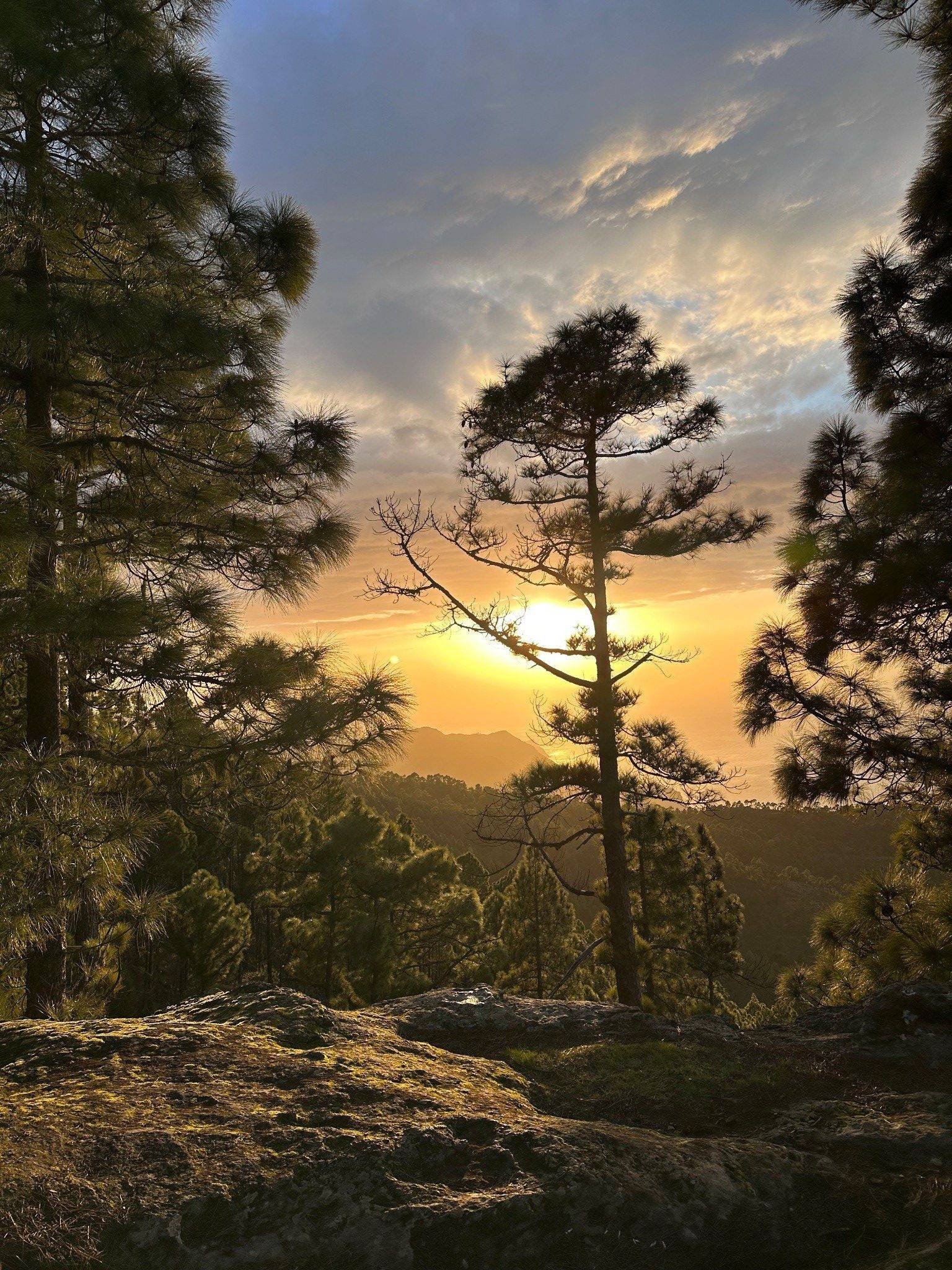 Places to visit in Gran Canaria