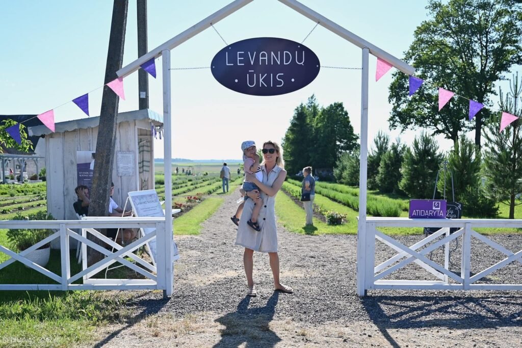 Lavender Farm in Birzai