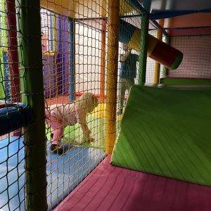 TOP entertainment for children in Suwalki