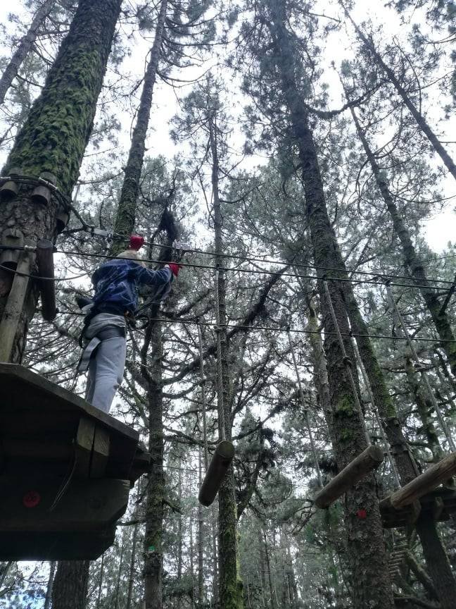 Forestal park Tenerife