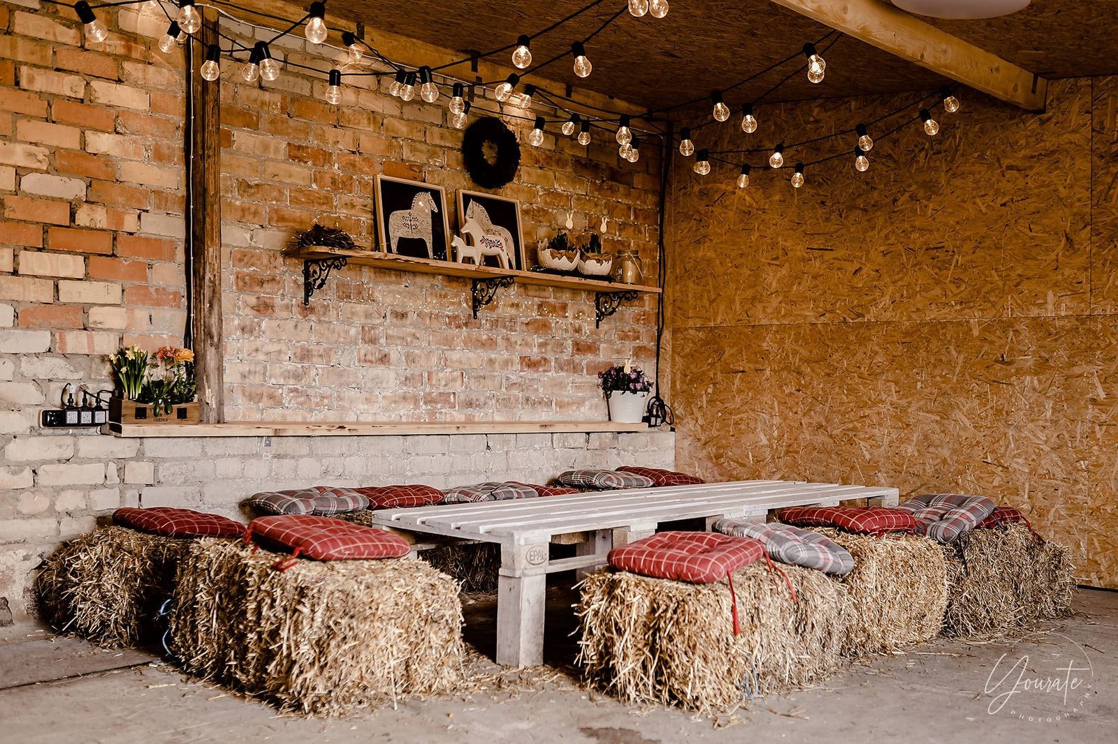 Birthday at the spotty pony stud farm