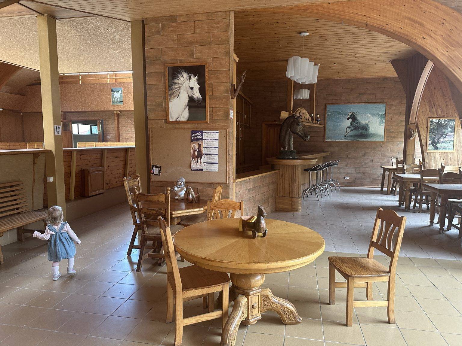 Harmony Park Stables is the perfect space for birthdays
