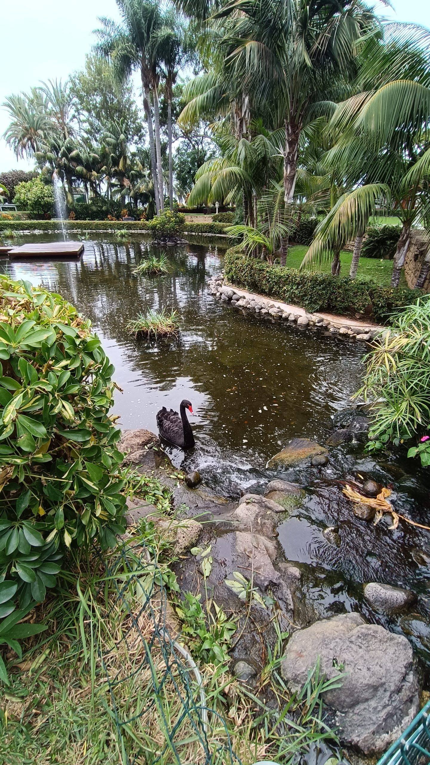 Hotel Botanico&The Oriental Spa Garden in Tenerife