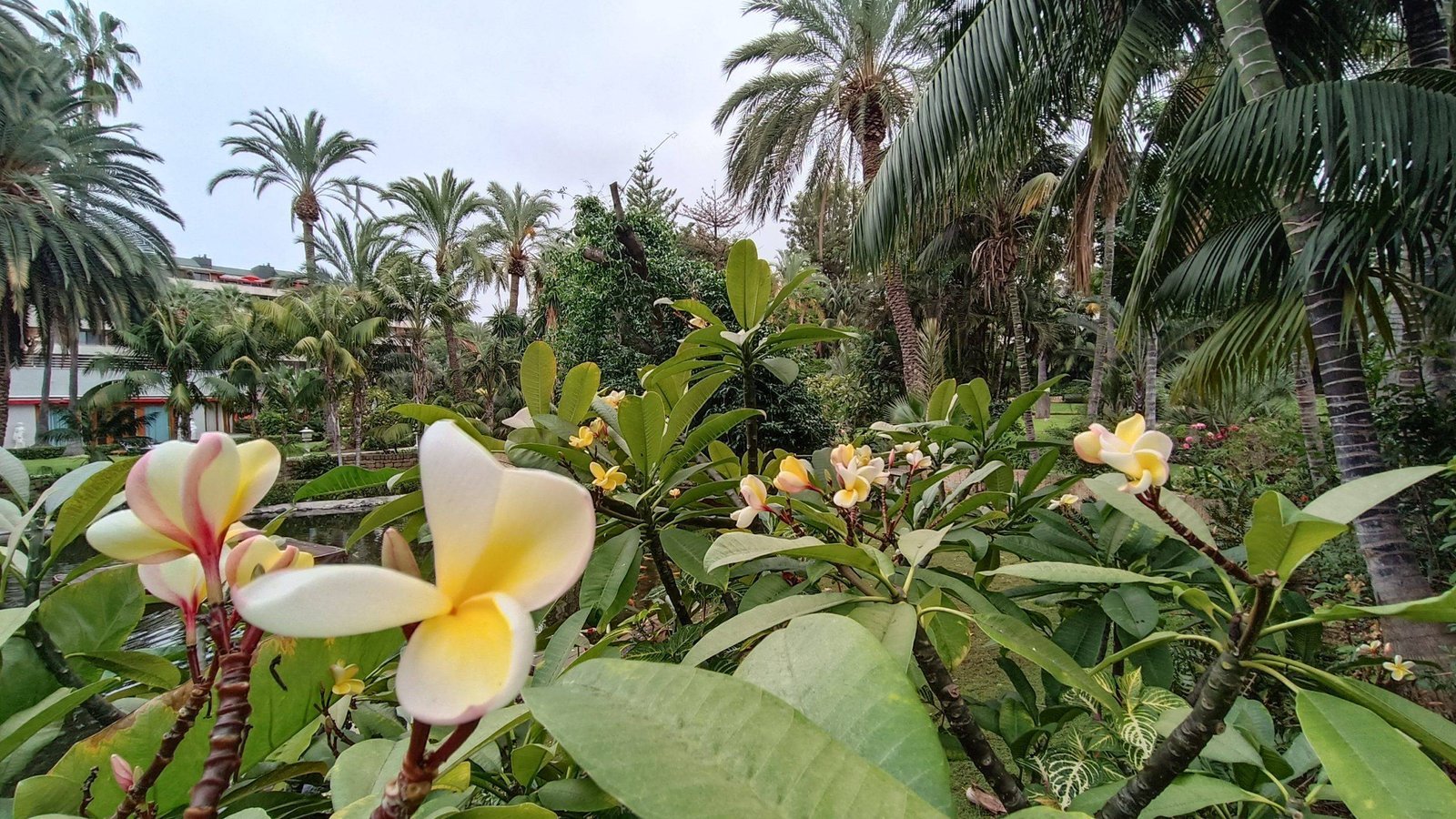 Hotel Botanico&The Oriental Spa Garden in Tenerife