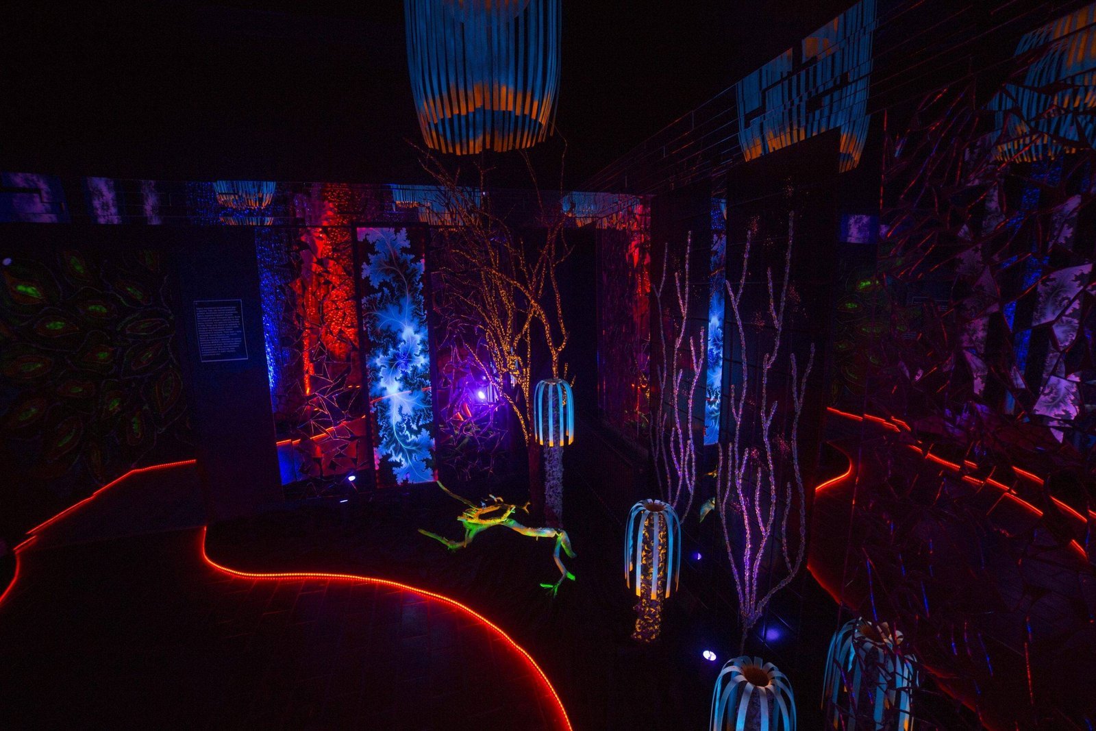 Fantasy Land “Neonija”